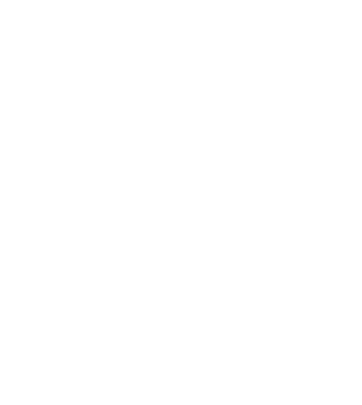 Feasibility & Financial Planning
