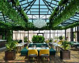 Pre-Opening & Brand Development